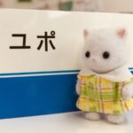 ユポ紙のサンプルの前にシルバニアファミリーのペルシャネコに立ってもらっています