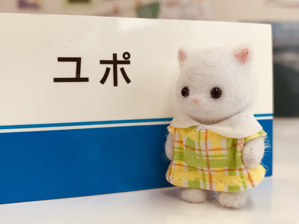 ユポ紙のサンプルの前にシルバニアファミリーのペルシャネコに立ってもらっています