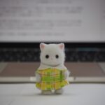 こっちを向いているシルバニアファミリーのペルシャネコ（こども）